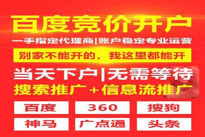 解析SEM主管在竞争激烈市场中的生存之道——以成功案例为鉴